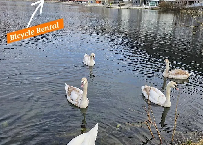 Is Where Your Heart Is!